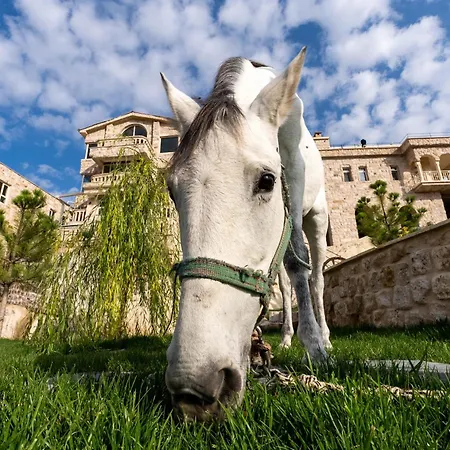 Be Still Alexa Smart Luxury Escape Adults Only *