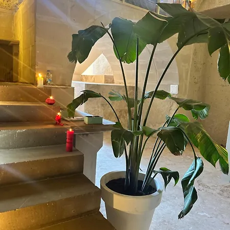 Hotel Be Still Alexa Smart Luxury Escape Adults Only *