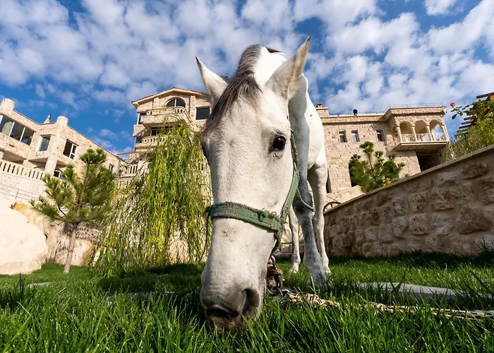 Be Still Alexa Smart Luxury Escape Adults Only *